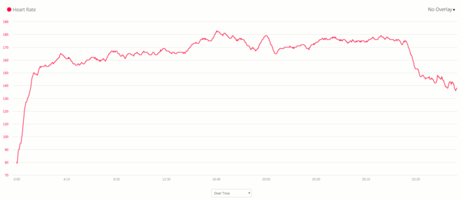 Garmin Fenix 5 mit Premium HR-Gurt
