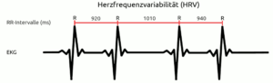 Herzfrequenzvariabilität (HRV) und RR-Intervalle (schematische Darstellnug)