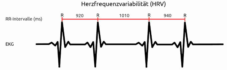 Herzfrequenzvariabilitaet (HRV) und RR-Intervalle (schematische Darstellnug)