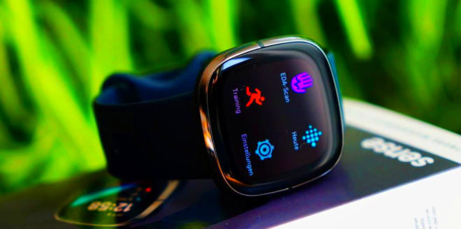 Fitbit Sense Test