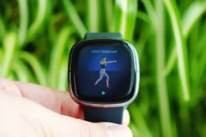 Fitbit Sense Test: animierte Übungen mit Coach-App