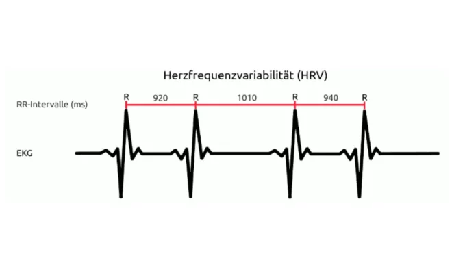 rMSSD in der Herzfrequenzvariabilität (HRV)