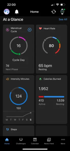 Garmin Connect App: Dashboard